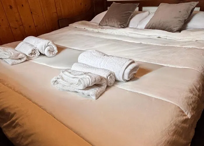 Mea Loft - A 3 Min Dalle Piste